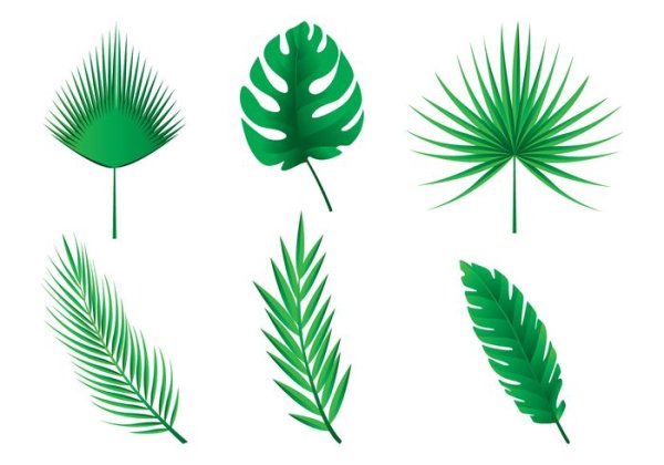 Tropical Leaf Aquarel