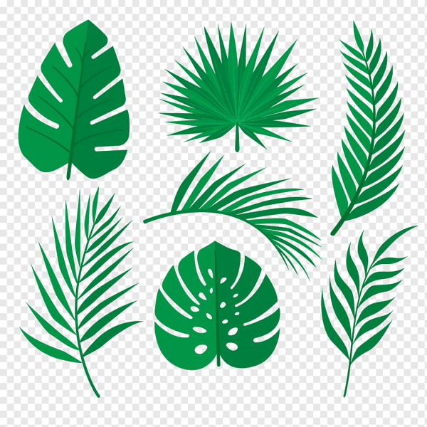 Папоротник паттерн