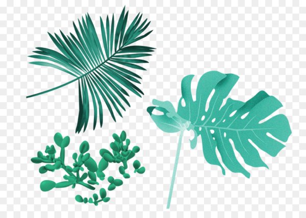 Лист пальмы