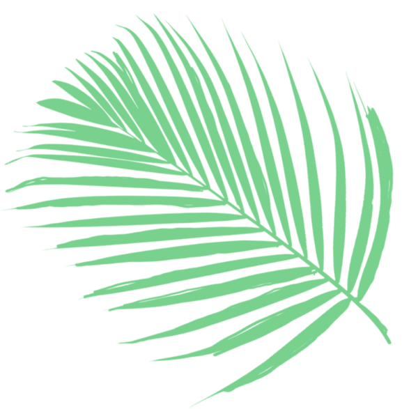 Пальмовая ветвь пальмовых ветвей