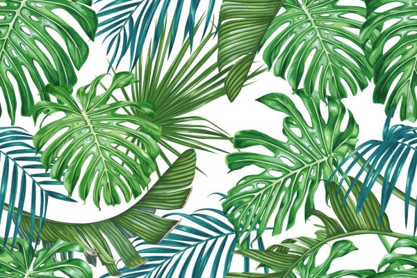 Пальмовые листья акварель