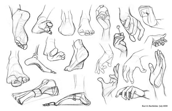 Стопа ракурсы