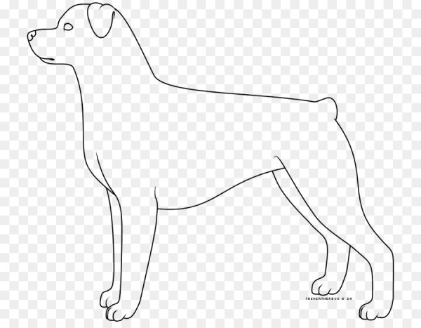 Рисунок собаки с боку