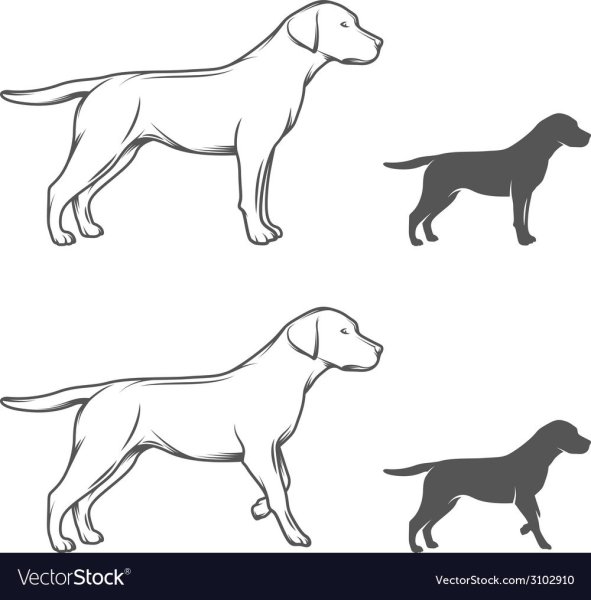 Силуэт собаки сбоку