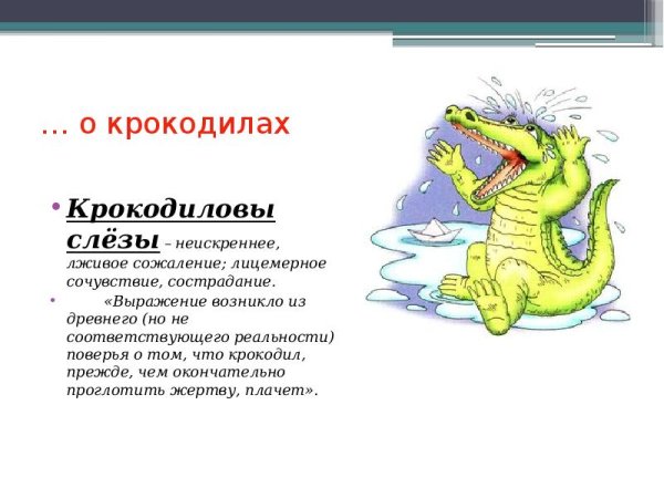 Слезы крокодила