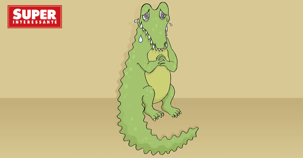 Крокодиловы слёзы происхождение фразеологизма