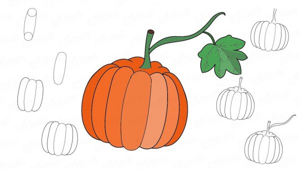 Тыква рисунок карандашом