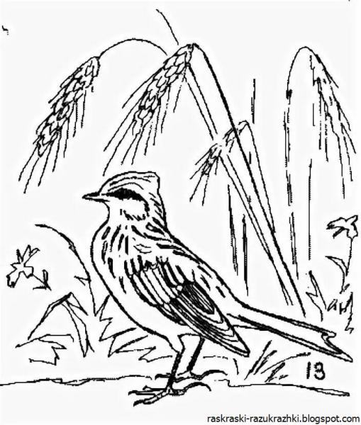 Романс Глинки Жаворонок рисунок