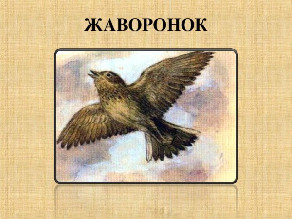Рисунок на тему Жаворонок
