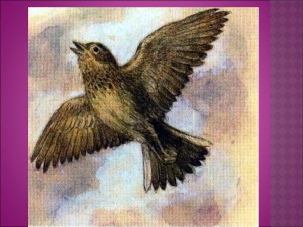 Иллюстрация к жаворонку Глинки