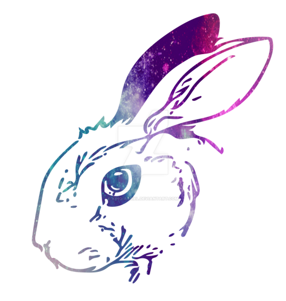 Иллюстратор кролик