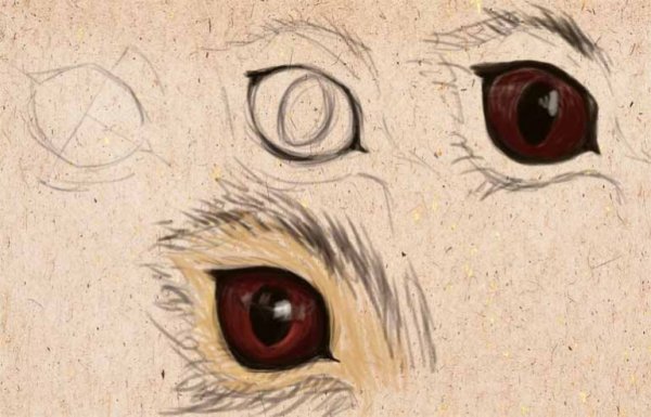 Глаза животных для рисования