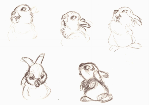 Скетчи для рисования животных