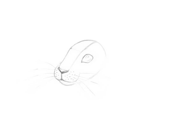 Глаза кролика нарисовать