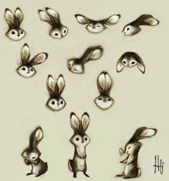 Заяц референс