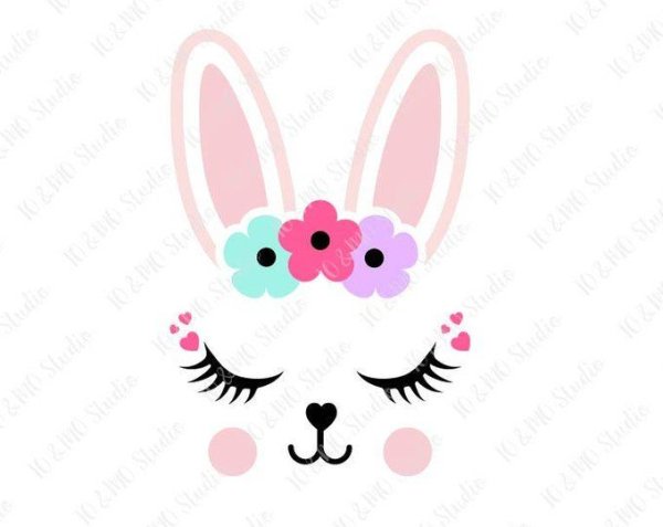 Милые мордочки зайчиков