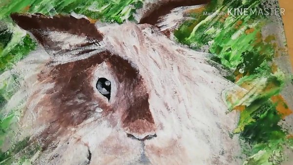 Глаза кролика рисунок