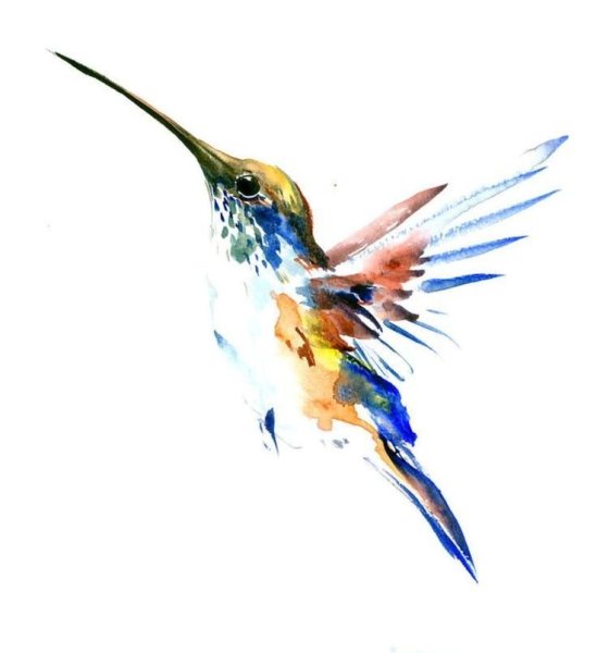 Акварельные птицы