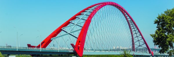 Бугринский мост Новосибирск вектор