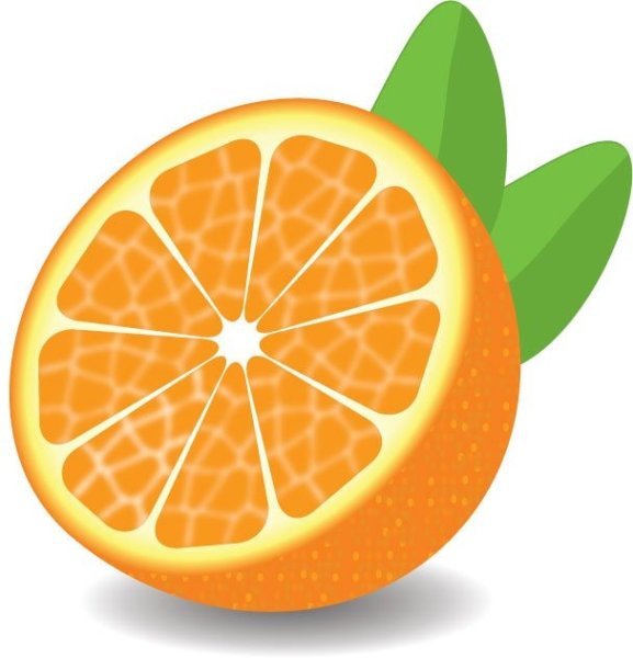 Апельсин рисунок