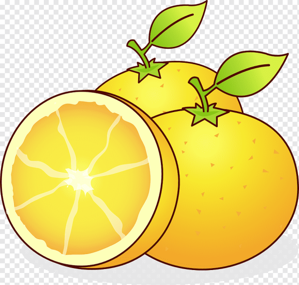 Апельсин рисунок