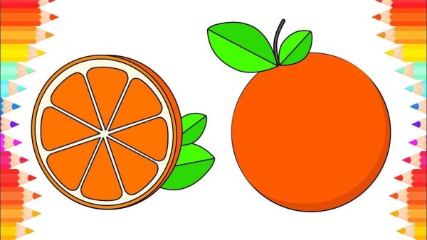 Апельсин рисунок на белом фоне