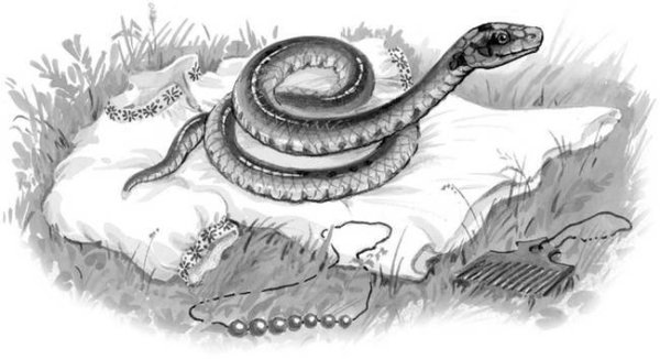 Вужыная карона