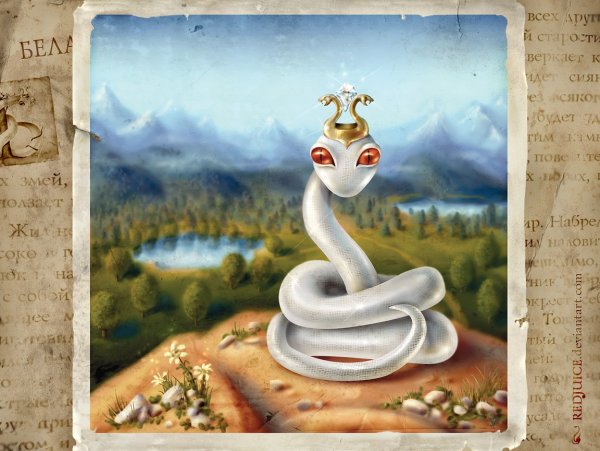 Белая змея братья Гримм иллюстрации