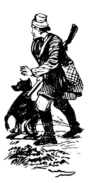 Шляхтич Завальня