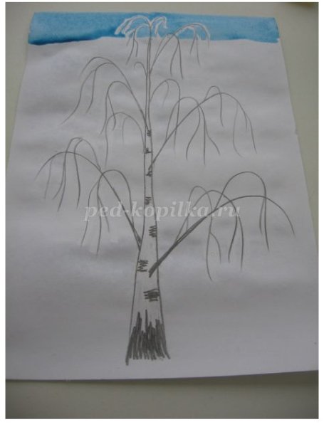 Рисование белая береза