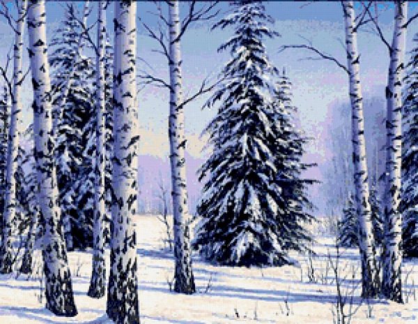 Рисование береза зимой в подготовительной группе