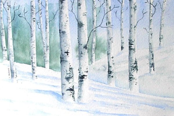 Береза зимой