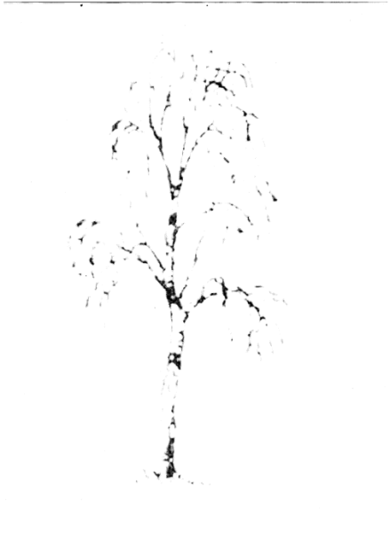 Зимний пейзаж родного края