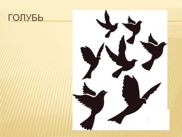 Графики по изо