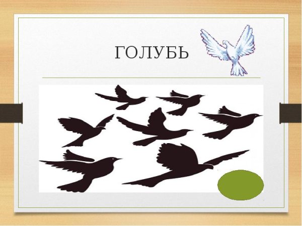 Стая Клин косяк птиц