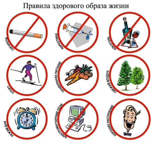 Правила здорового образа жизни