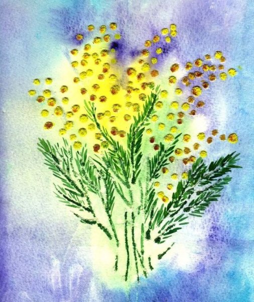 Мимоза эскиз