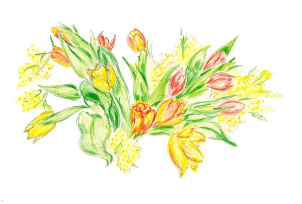 Мимоза тату эскиз