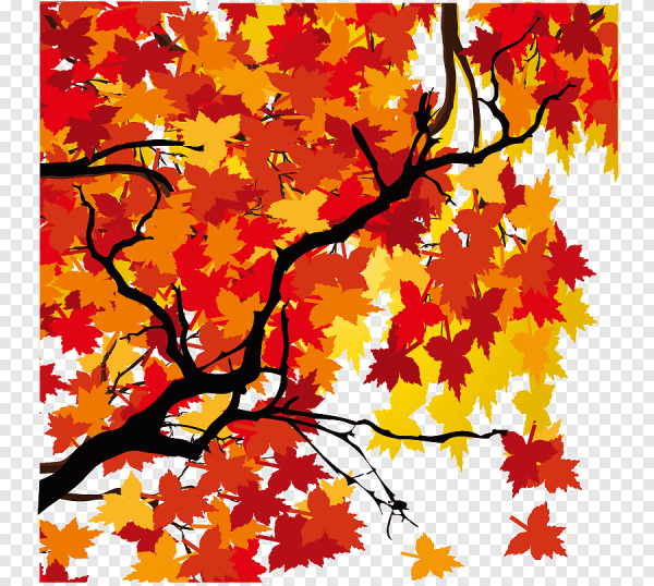 Осенний клен вектор