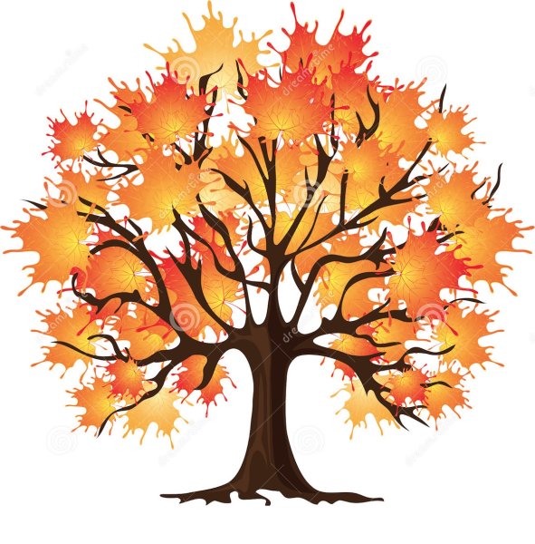 Дерево клен рисунок