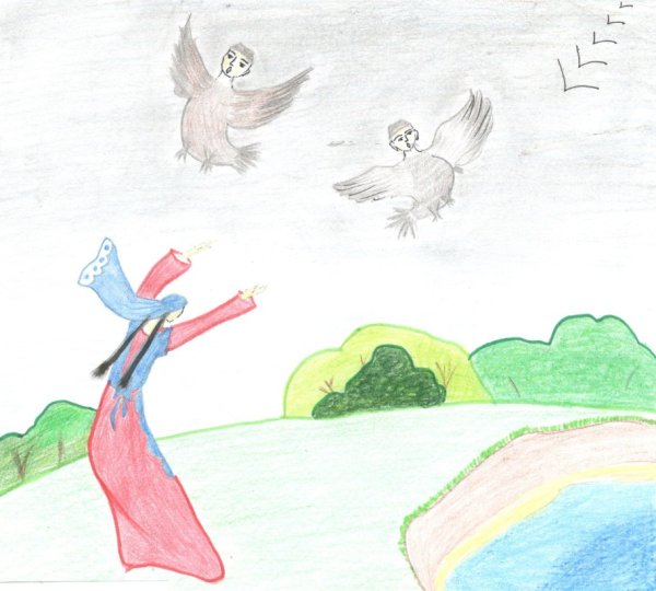 Сак сок рисунок