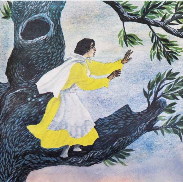 Сак сок рисунок