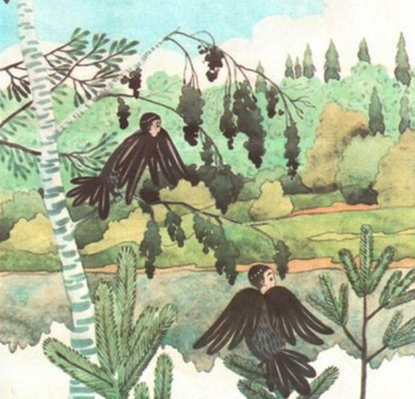 Сак сок книга