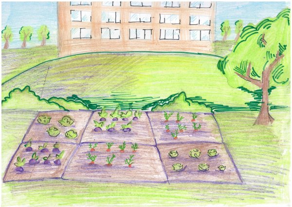 Эскиз пришкольного участка