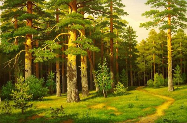 Художник Владимир Иродионович Бебия