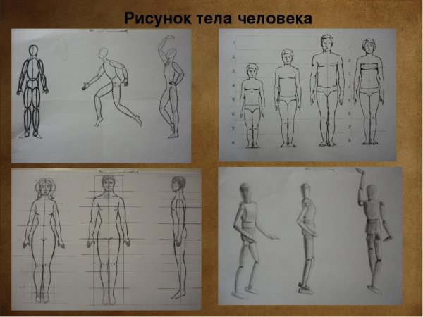 Изображение фигуры человека