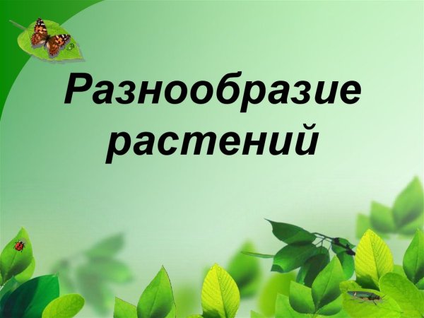Разнообразие растений презентация