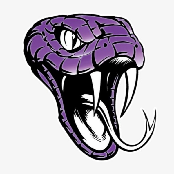 Голова змеи на прозрачном фоне