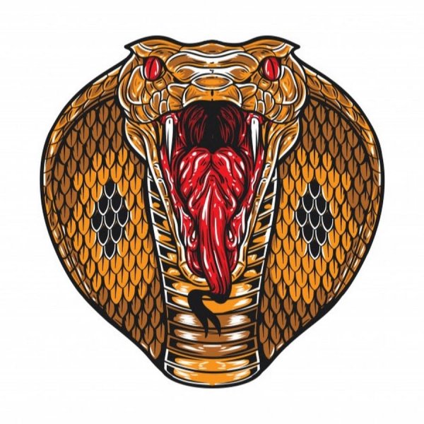 Голова кобры