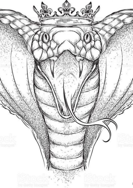 Кобра тату эскиз